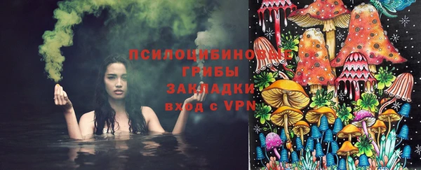 ешки Богородицк