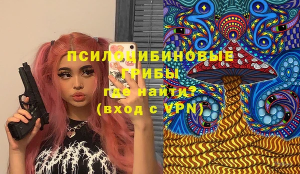 ешки Богородицк