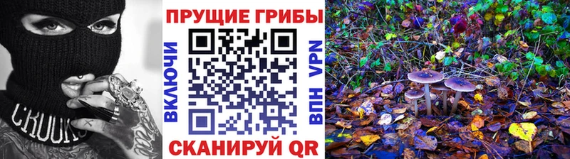 Галлюциногенные грибы GOLDEN TEACHER  мега ТОР  Велиж  купить  