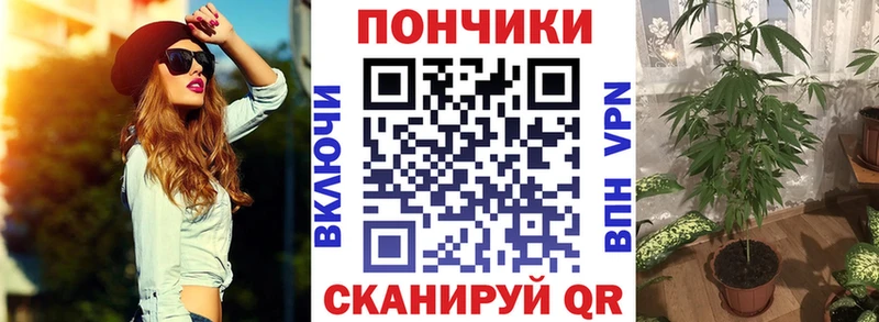 купить наркоту  shop Telegram  МАРИХУАНА индика  Велиж 